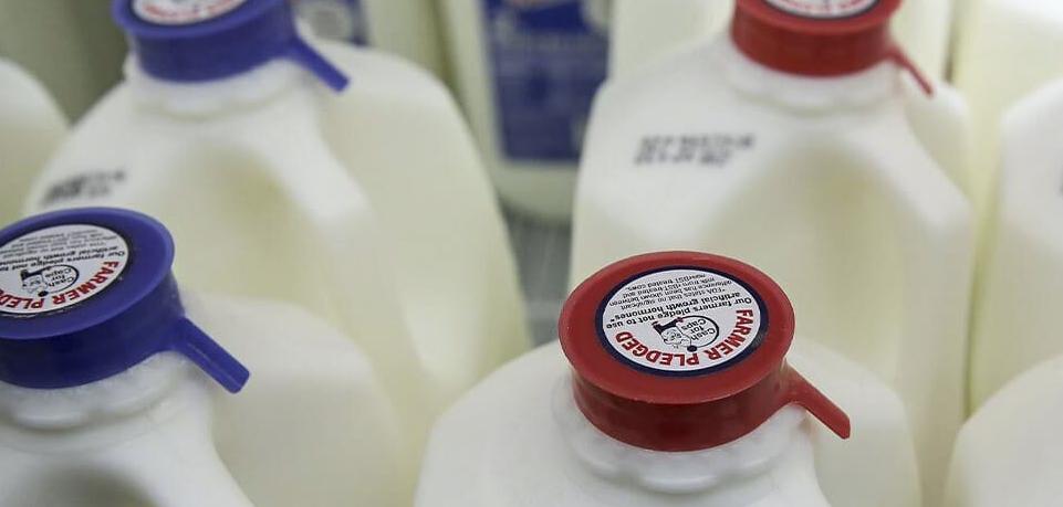 Milk jugs