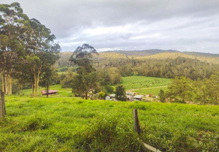 Farm