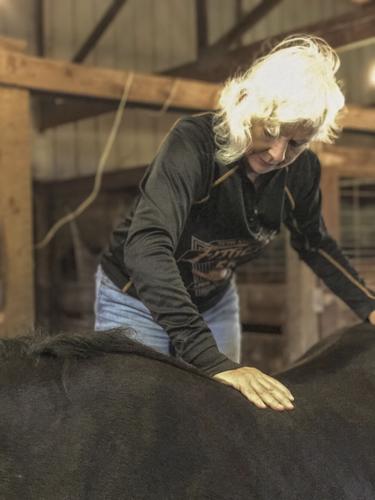 Cottrell with horse