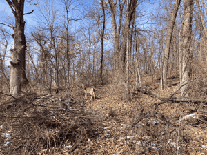 Snapshot of the Season