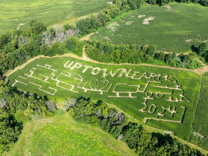 Uptown Farms pumpkin patch maze