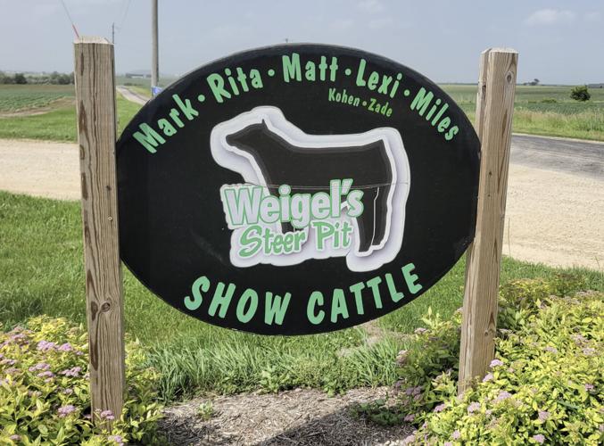 Weigel's Steer Pit sign
