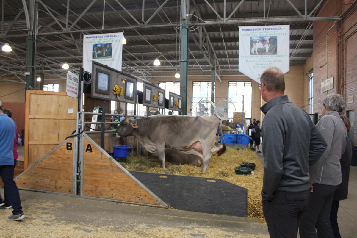 MSF Cattle Barn 2018 (copy)