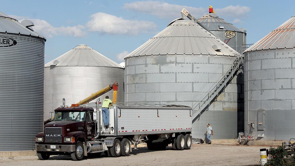 grain bin safety