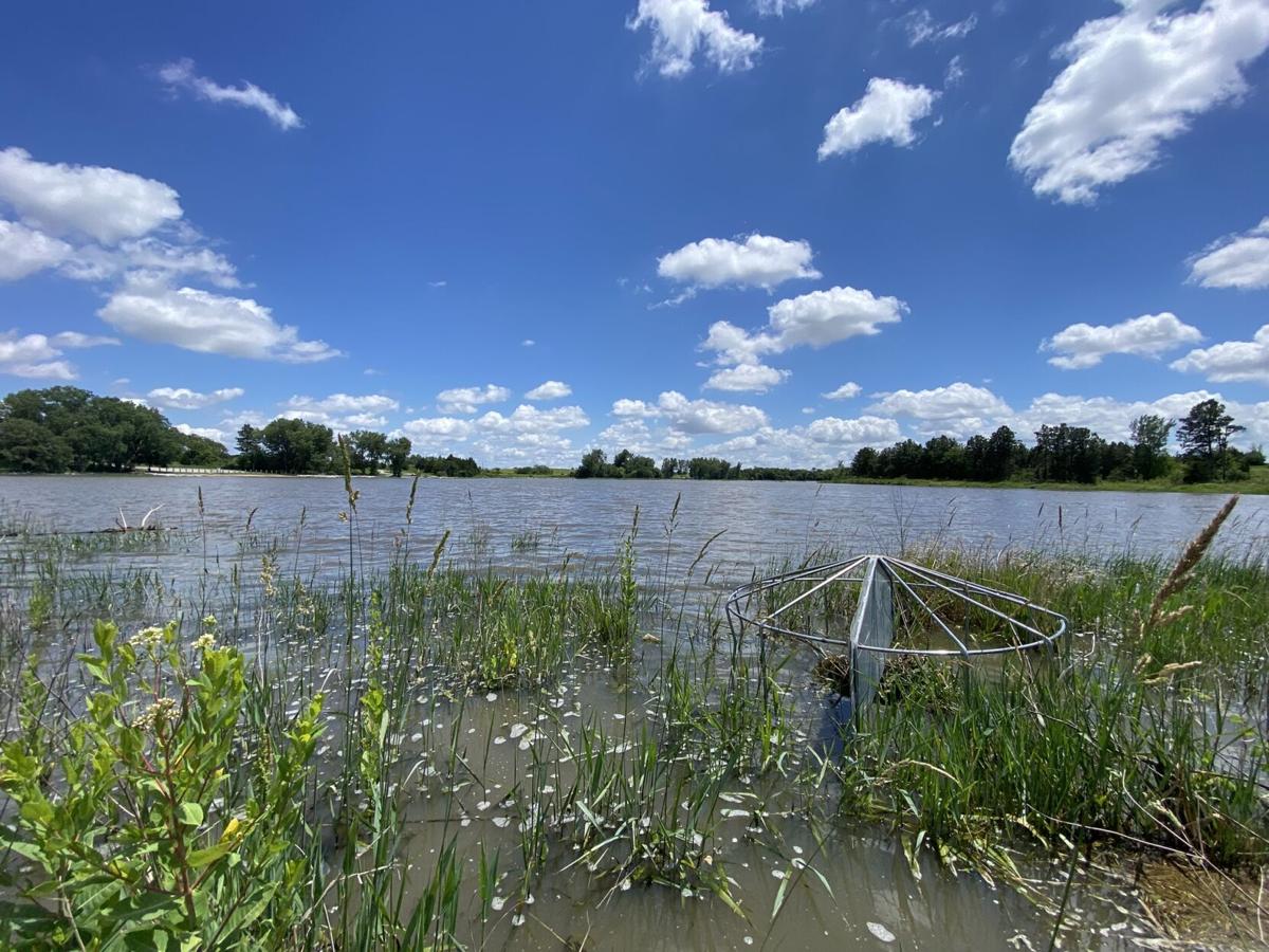 Cub_Creek_ Rec_Area_Full_Pool_June_2026_Rains_b.JPEG