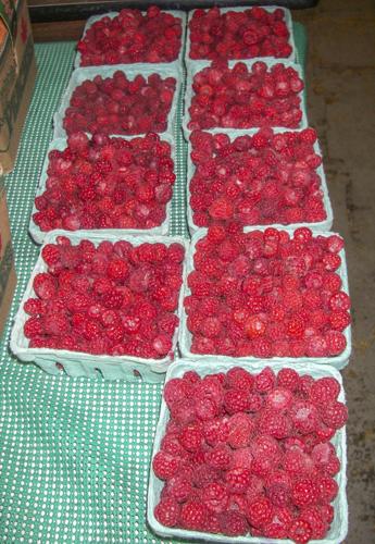 Raspberries