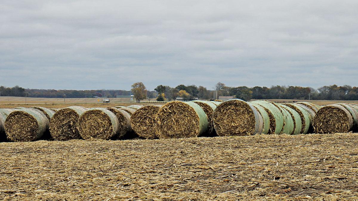 Corn stalk bale rounds