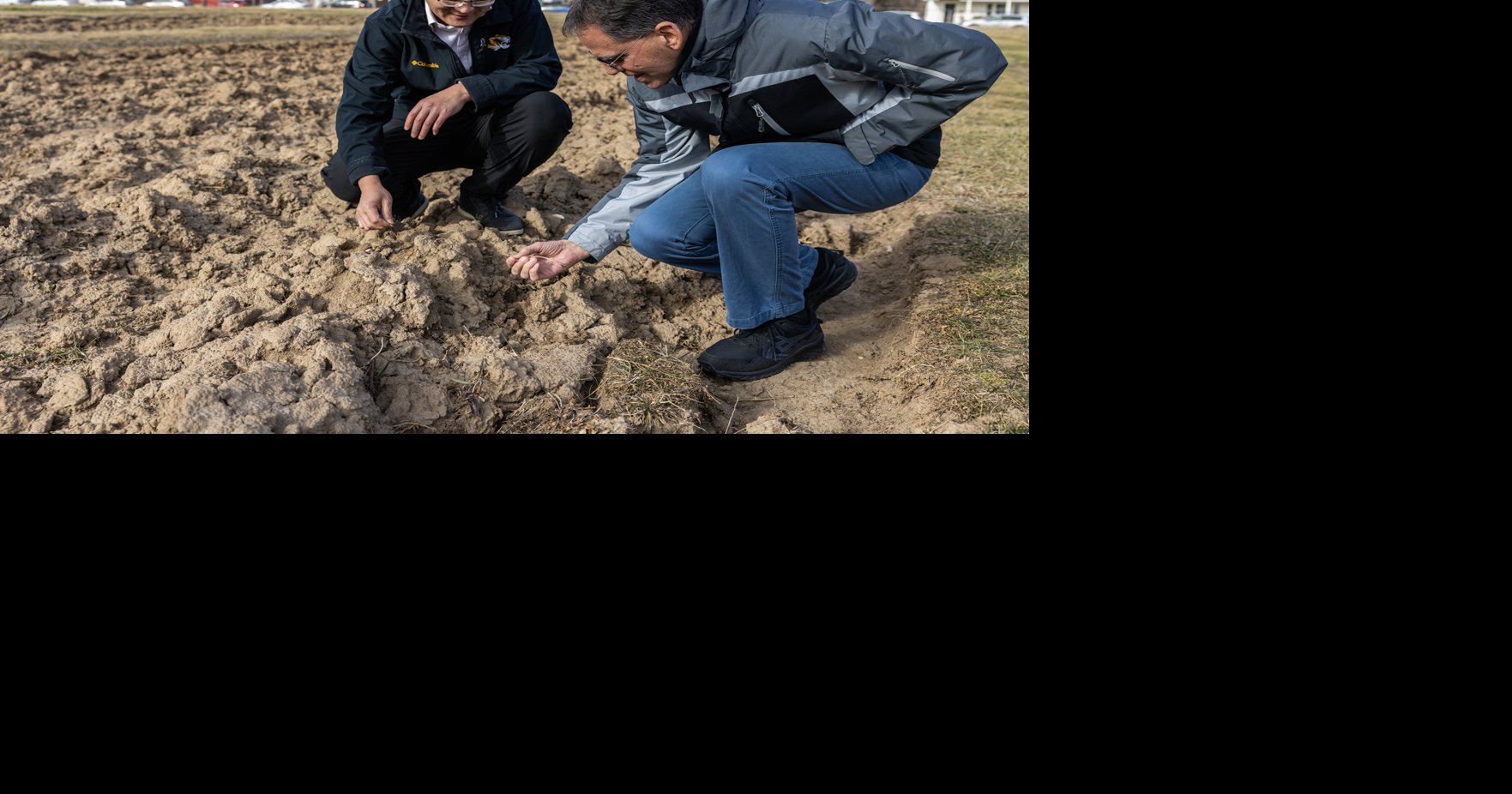 Su and Gassmann in field