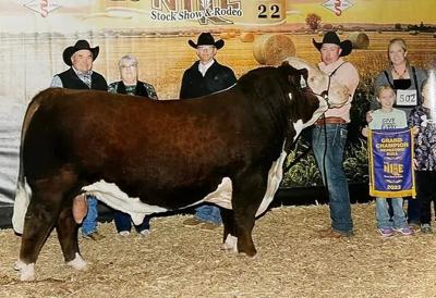 Bar Star Cattle to showcase bulls at MATE show