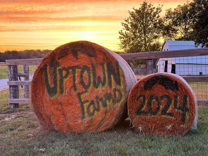 Uptown Farms pumpkin patch in Laclede, Mo.