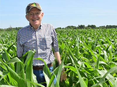 Woster corn field