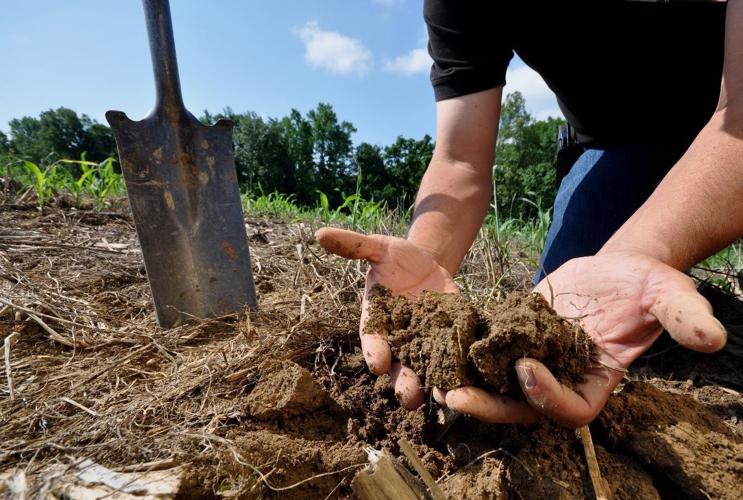 Person checking soil health