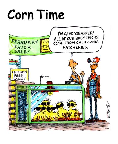 Corn Time by Bob Lang