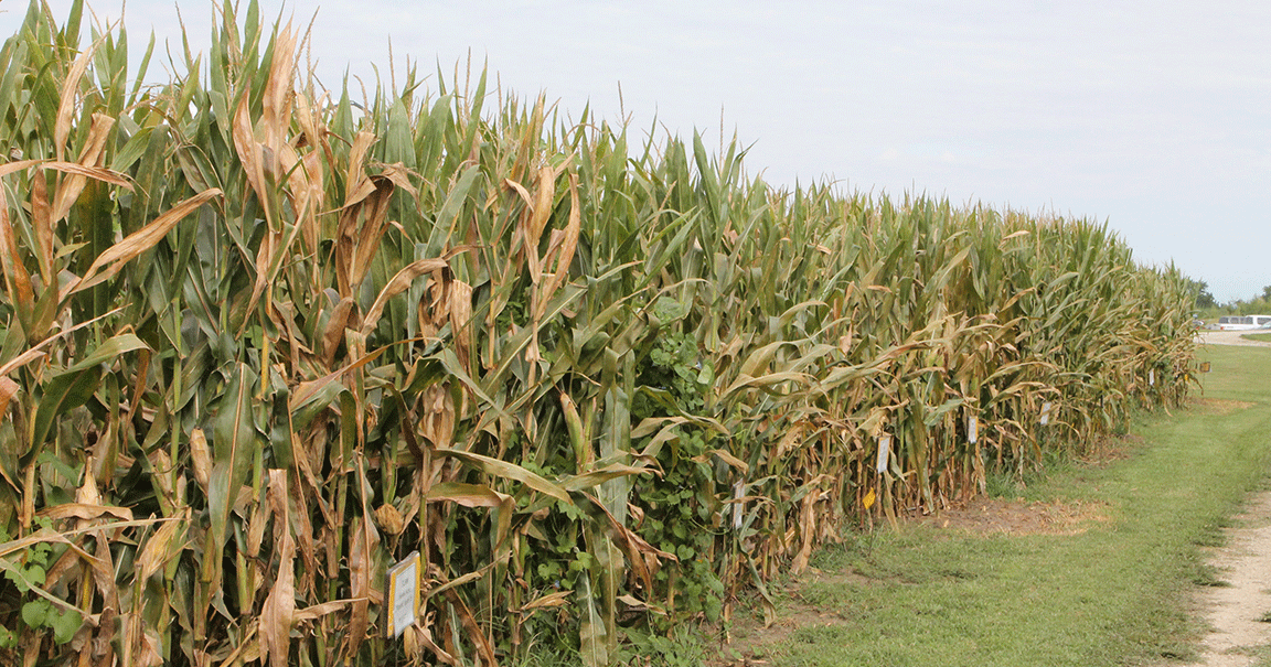 Ag technology continues to refine inputs