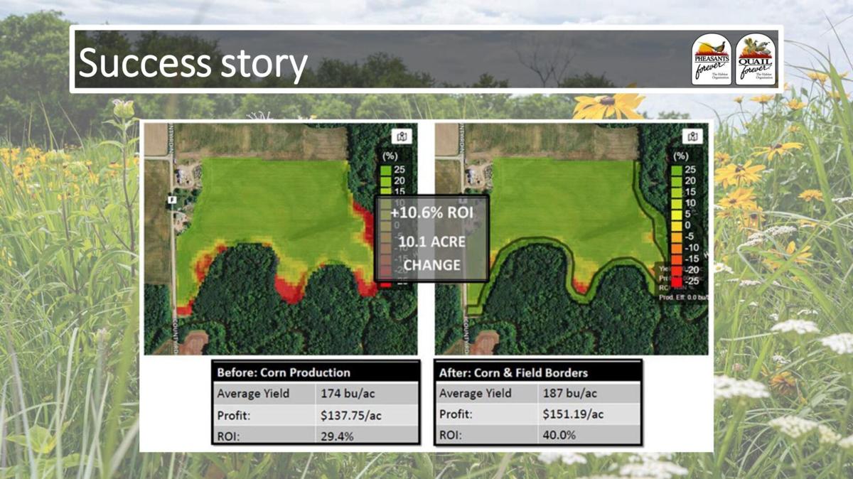 Corn product before analysis and corn and field borders after