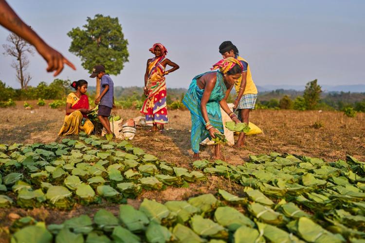 YE Climate 2025 Photo Gallery