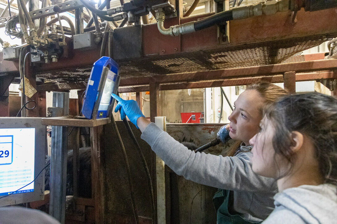 BQA value PIC 0217unl