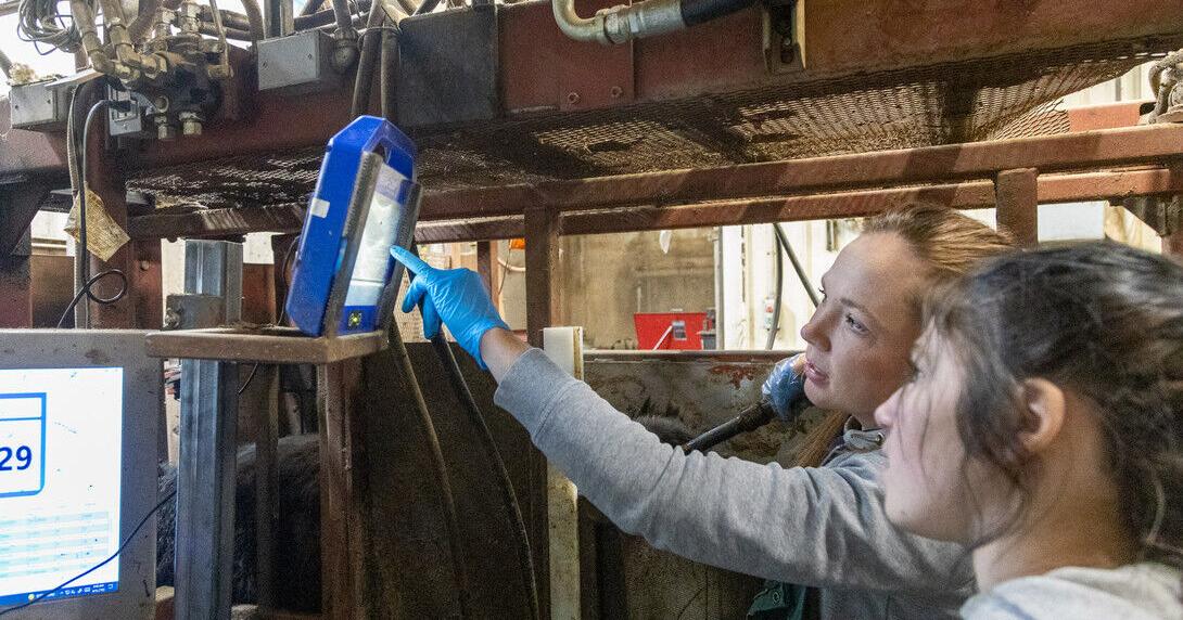 BQA value PIC 0217unl