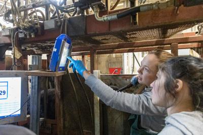 BQA value PIC 0217unl