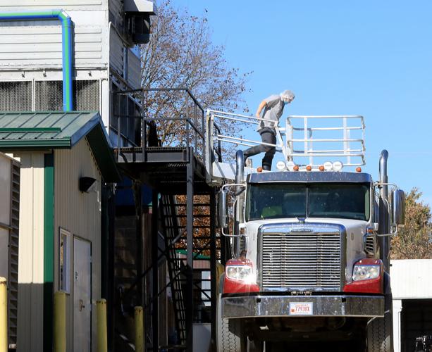 Maple Leaf Cheesemakers worker draws sample from milk truck
