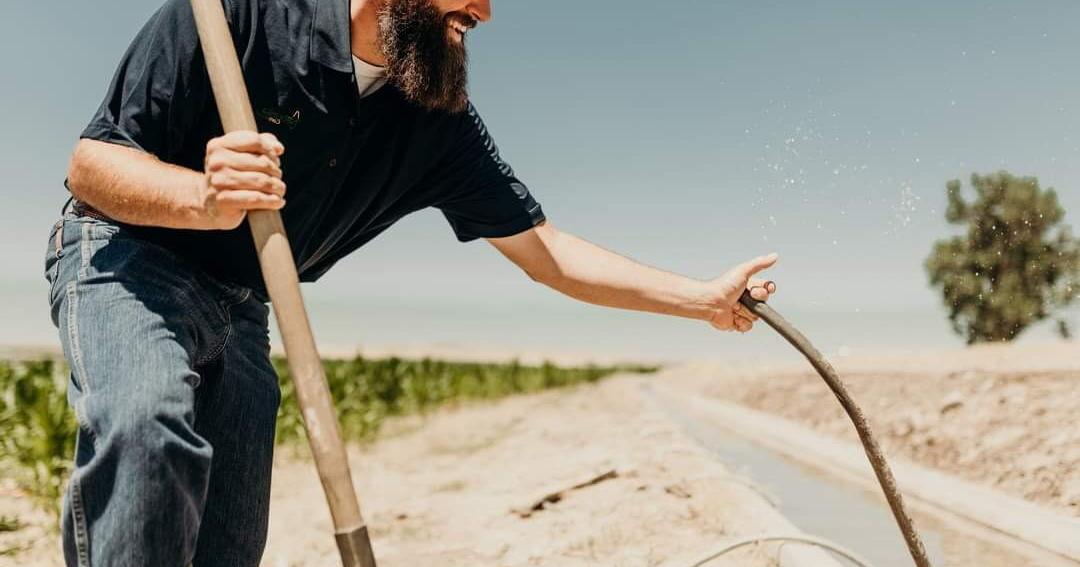 Are economics driving corn production westward?