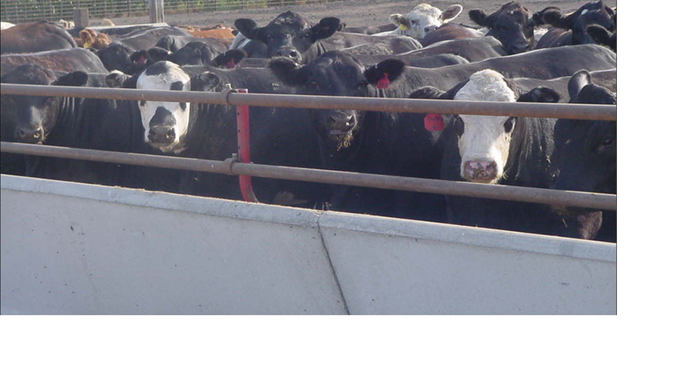 Welding company brings custom livestock equipment to Dakota Farm Show