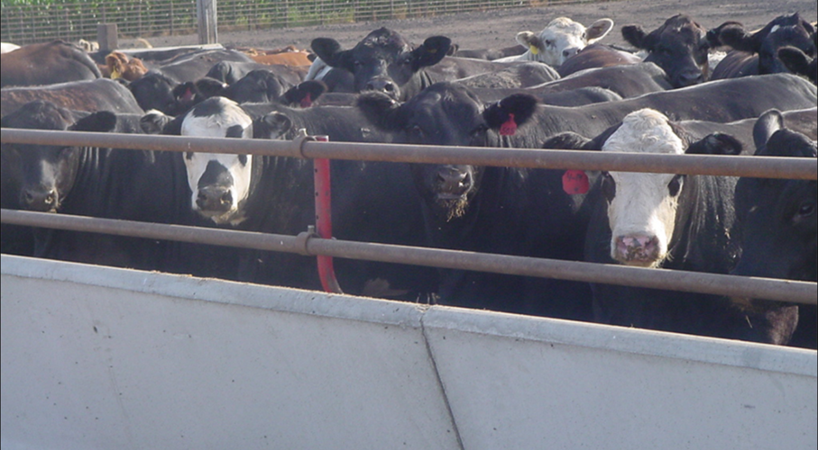 Frederick Welding (1).png