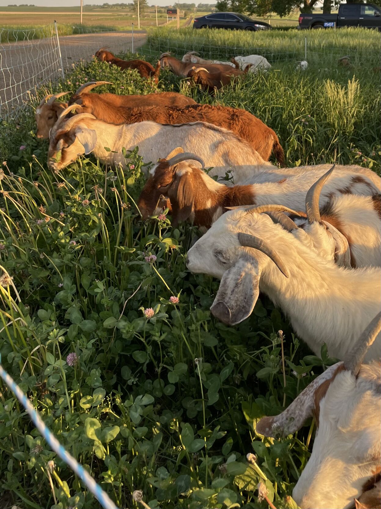 CW Burggraff (1).jpg