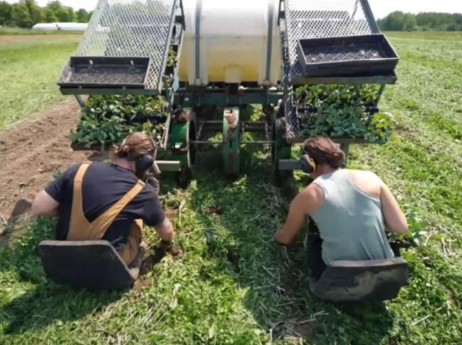 Waterwheel transplanter