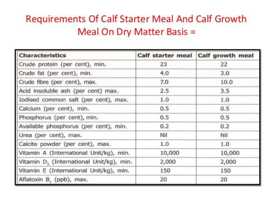 Requirements for calf starter meal