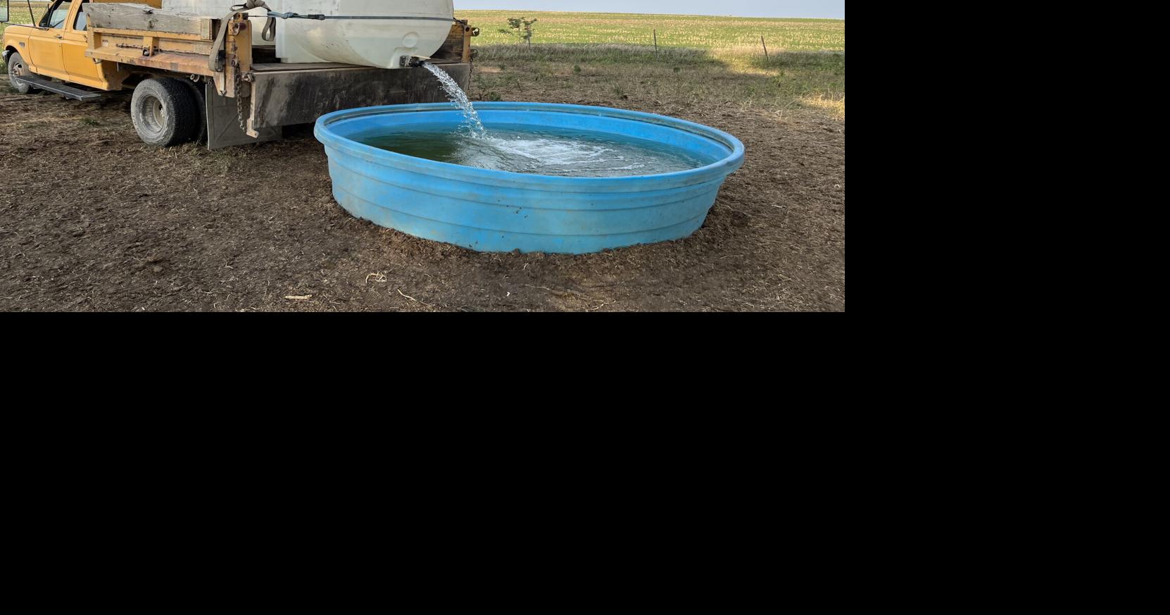 Clean water important in cattle production
