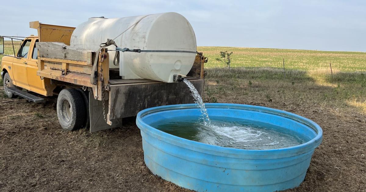 Clean water important in cattle production