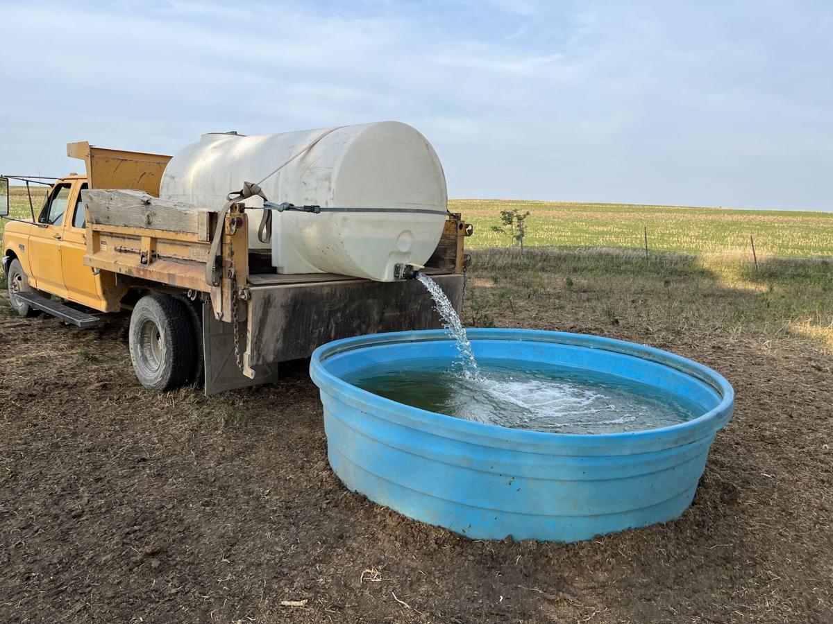 Down on the Farm (2).jpg