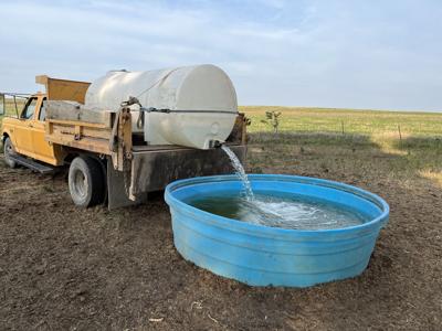 Down on the Farm (2).jpg