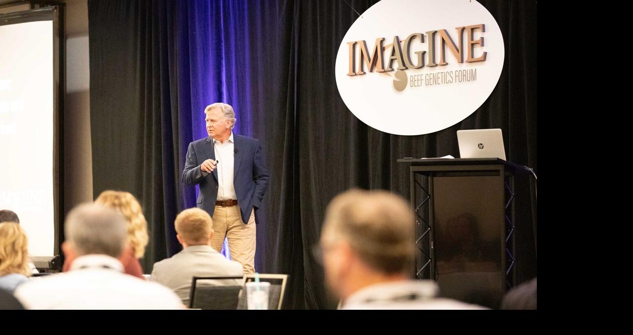 Imagine presentation