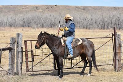 ‘As long as there are cowboys, there will be the Stockgrowers’