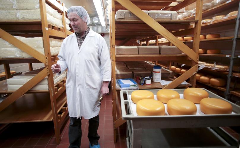 Babcock Hall cheese