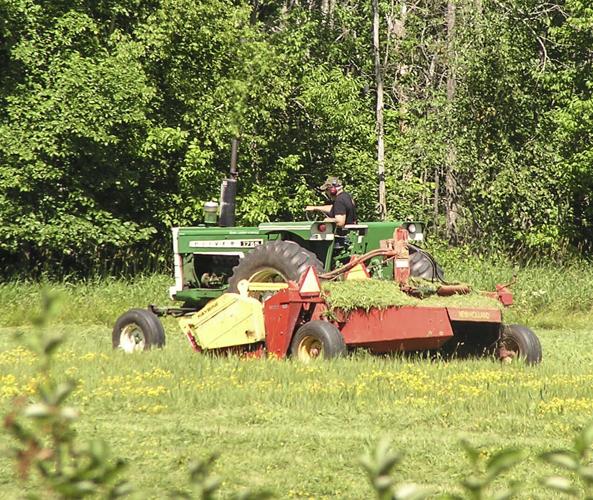 Tractor in field hay rake