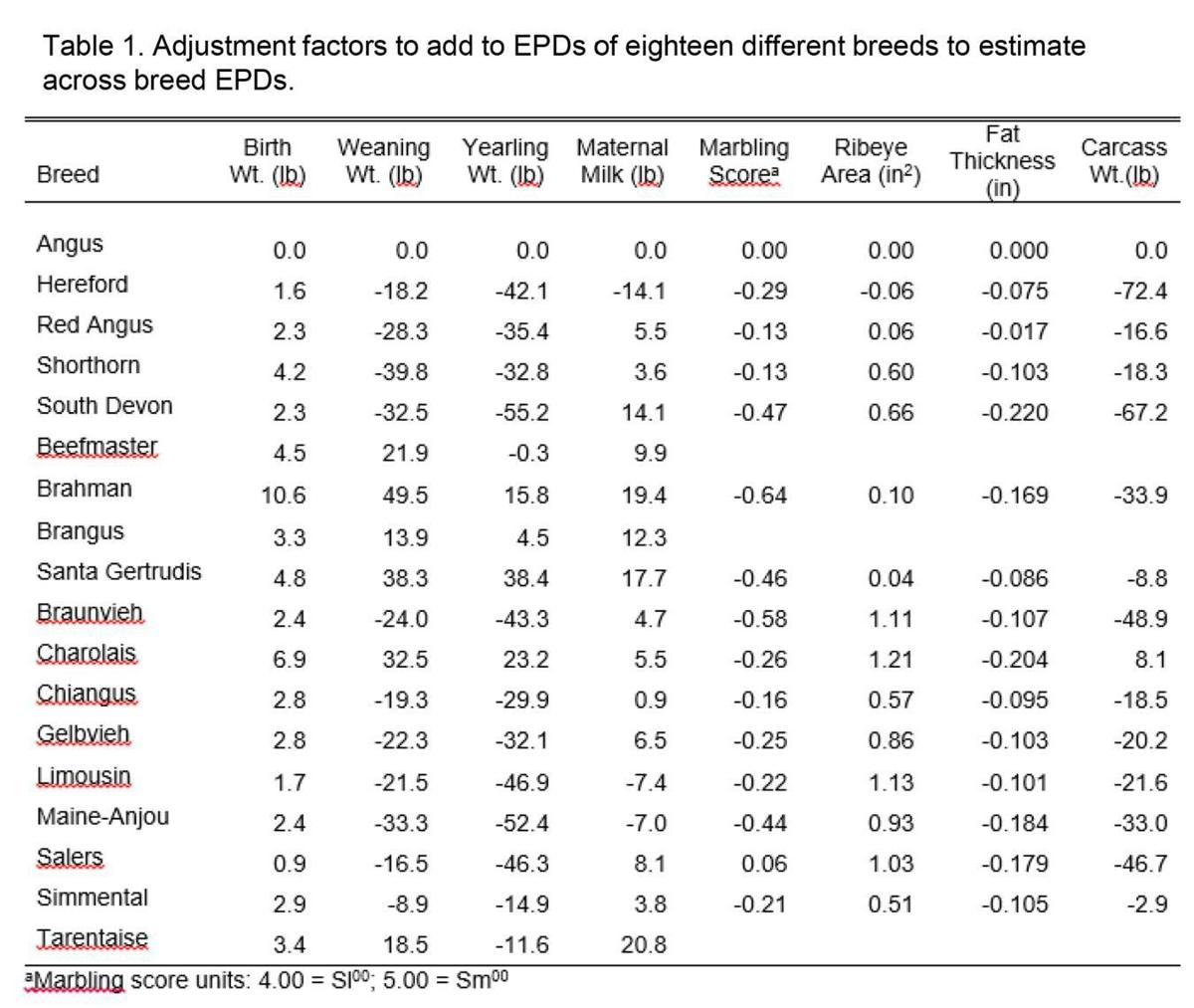 Consider breeding dairy cattle to beef breeds