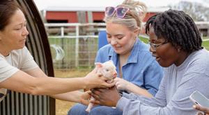 Organizations partner to promote farmer-led tourism