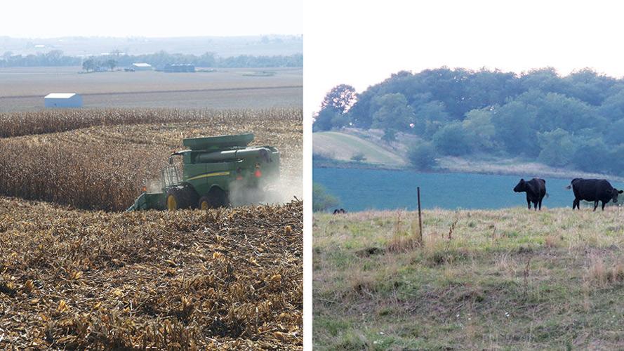 Iowa soils and the landscape