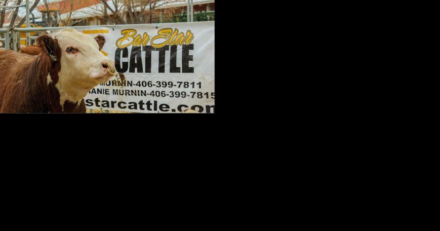 MATE show offers agriculture, health and home options - Vimarsana News