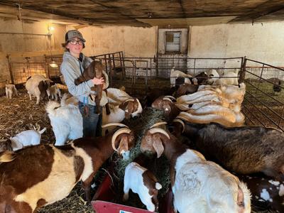 No kidding: Nebraska 4-H goat program keeps growing