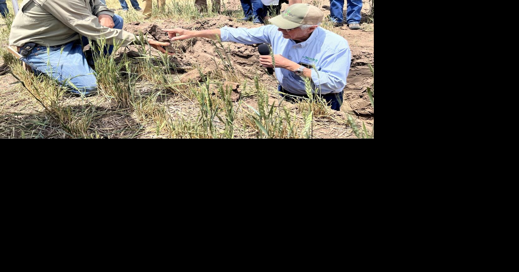 A supportive team for soil health