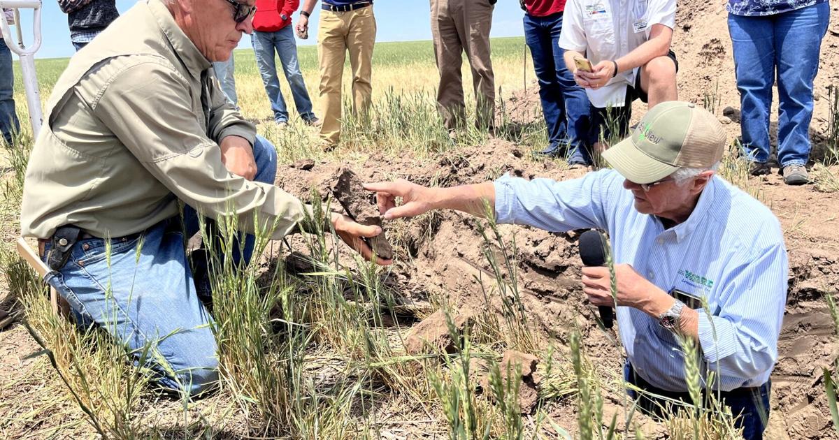 A supportive team for soil health