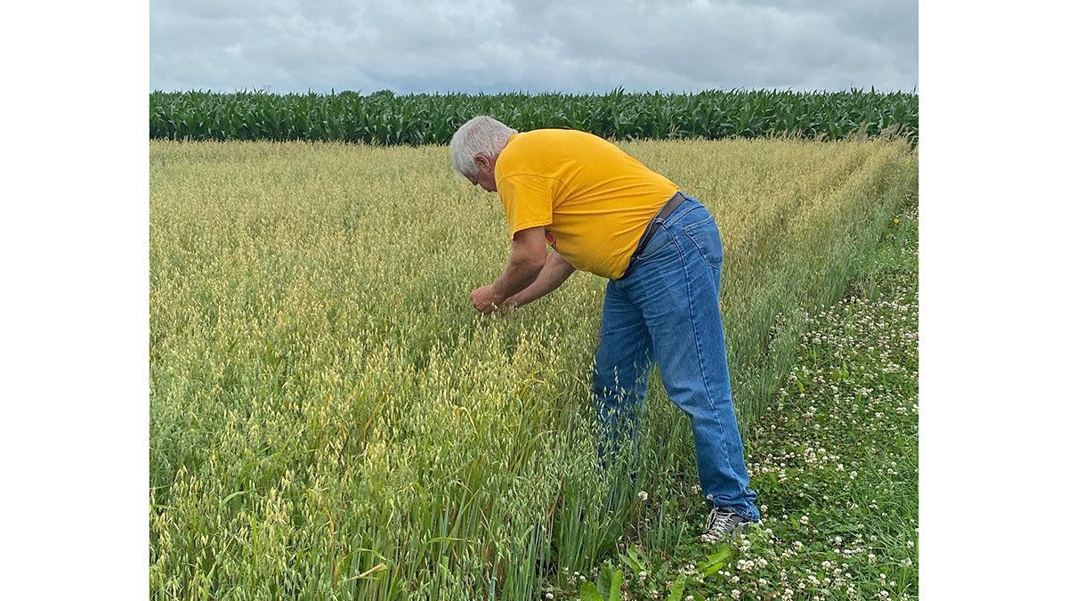 Dan Voss oats