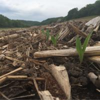 Conservation ag affects financial results
