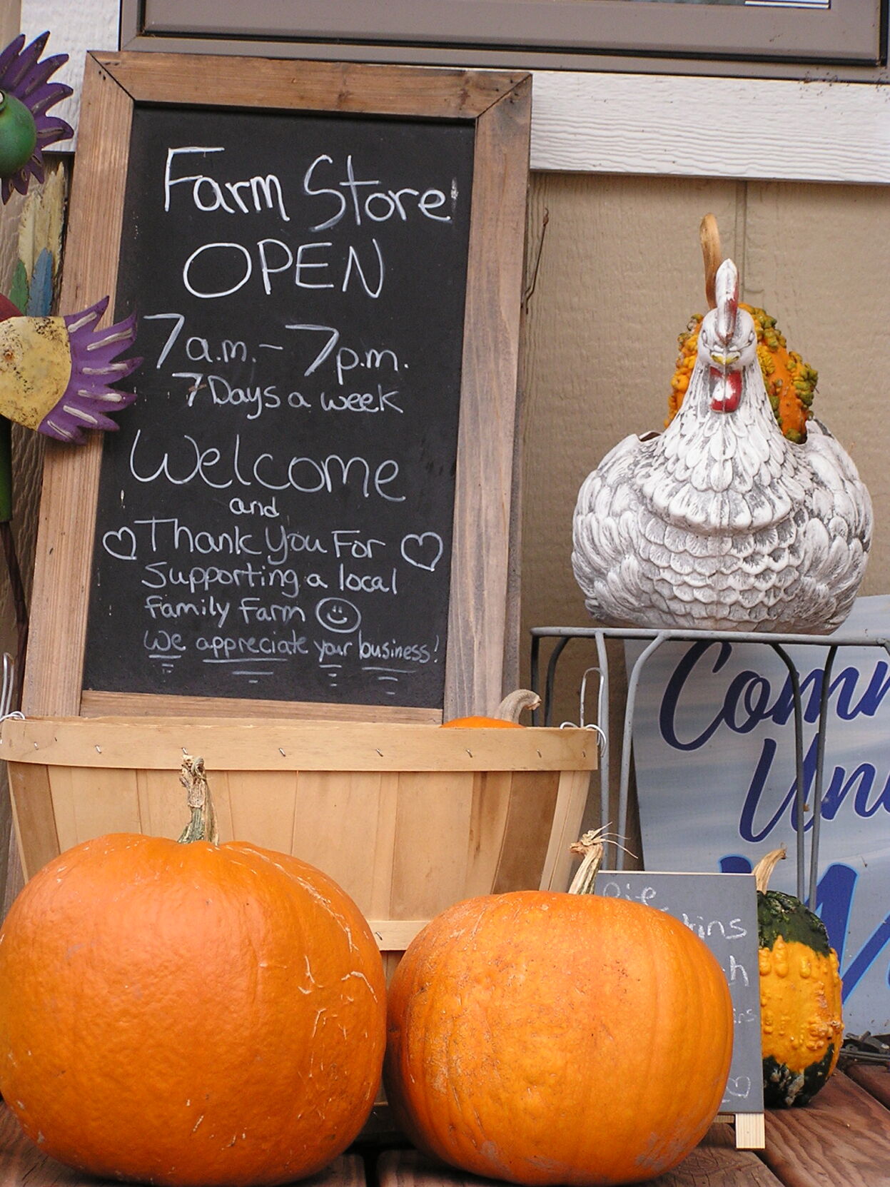Pumpkins