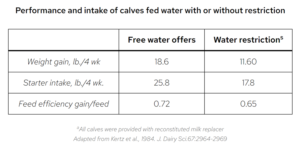 Performance and intake of calves fed water with or without restriction