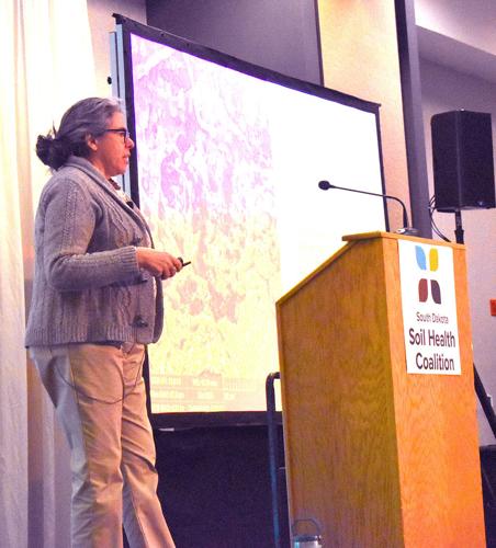 Soil Health (14) brightened.jpg